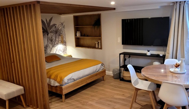 Furnished vineyard/Swimming pool/Sauna/near Strasbourg