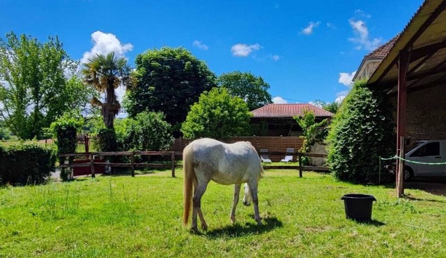 Gîte Équestre Cosy, au Calme, Pour des Vacances Nature