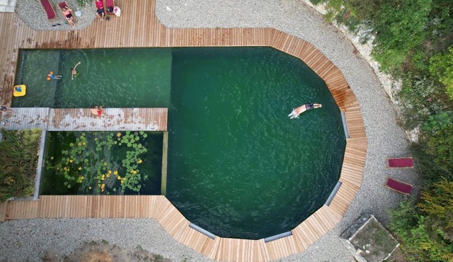 Gîte 15 persons Cabanes de Fallot - swimming pool