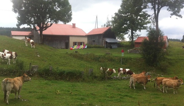 Gîte 3 ch. 10 Pers. Sans Voisin sur 30 Hectares