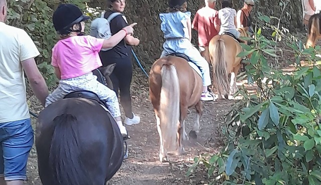 Gîte at the equestrian farm Les poneys du val d'emeraude
