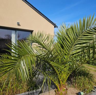 Gîte Camaloth - Bien être aux portes du Golfe du Morbihan