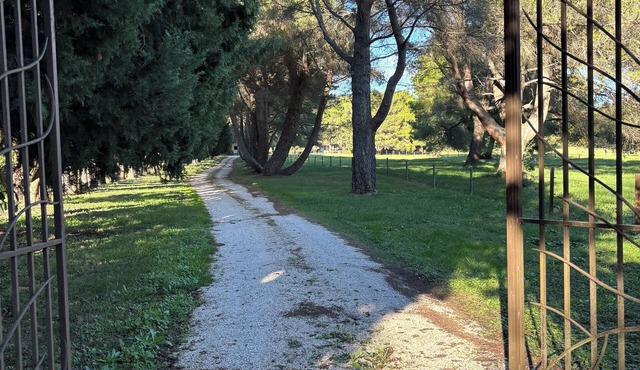 Gîte Camargue 63m², 4 pers. air-conditioned, Swimming pool, Mas de la Meunerie in Fontvieille