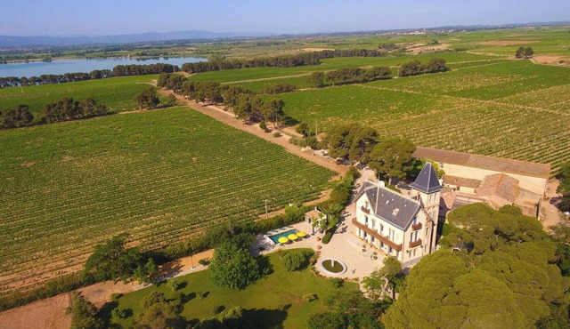 Gîte Château in Minervois near the Canal du Midi
