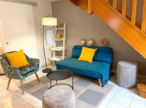 Gîte charmant avec spa et jardin, animaux admis - FR-1-489-342