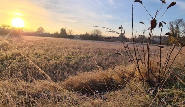 Gîte close to Beauval Zoo and the Châteaux de la Loire!