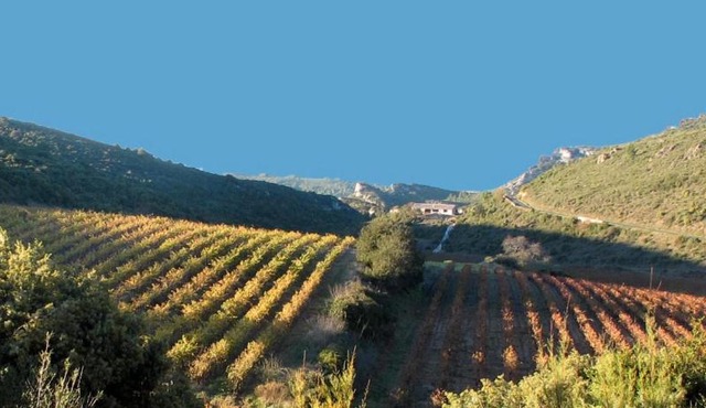 Gîte dans ancienne bergerie en pleine garrigue
