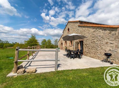 Gîte de Charme entre Cholet et Puy du Fou avec Terrasse et Équipements Complets - FR-1-622-33
