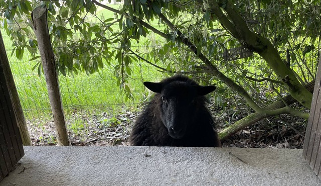 Gîte de Courdoux - 24 H du Mans et Boulerie Jump