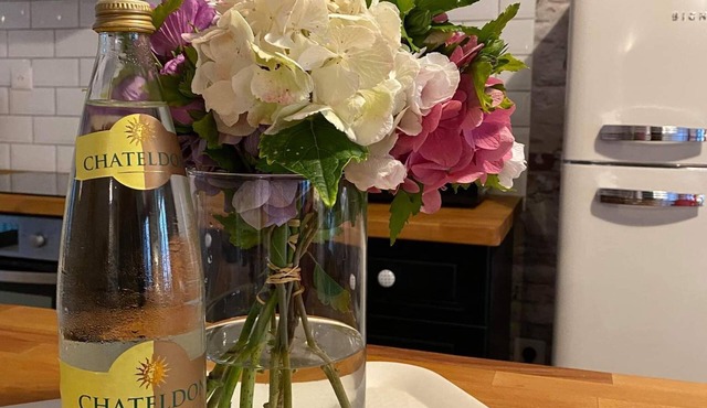 Gîte de l'Eau du Roi * Near Vichy and Thiers-3 to 5 people - in Châteldon