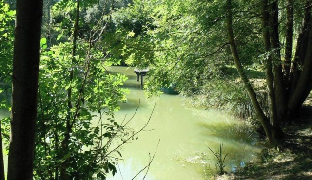 Gîte de la Maison de L'étang