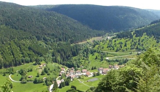Gîte de la Petite Meurthe Brimbelle
