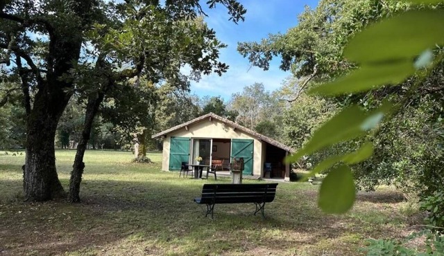 Gîte de Tambourin - Argelouse