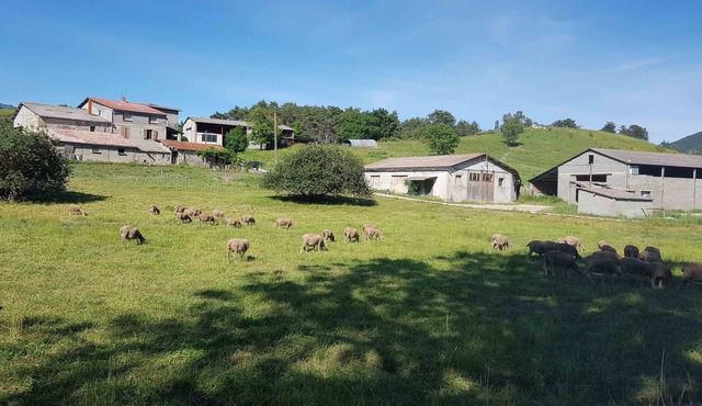 Gîte des Millets en Baronnies - Rosans 05