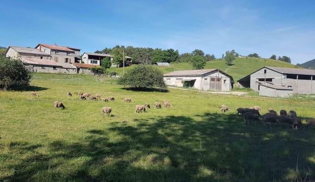 Gîte des Millets en Baronnies