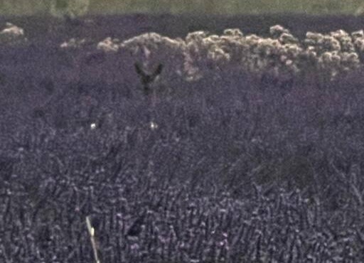 Gîte des prés de la Drome