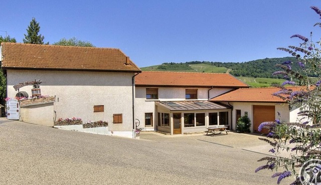 Gîte du Chais - FLEURIE