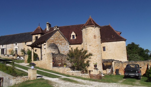 Gîte du haut or Orchidée