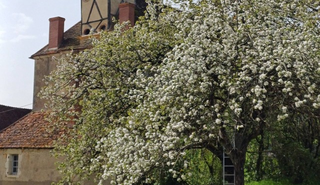 Gîte Entre Loire Vignobles et Forêts