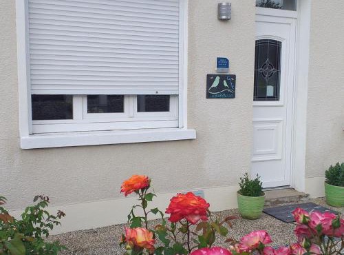 Gîte familial proche des châteaux de la Loire, animaux admis, jardin privé - FR-1-491-343