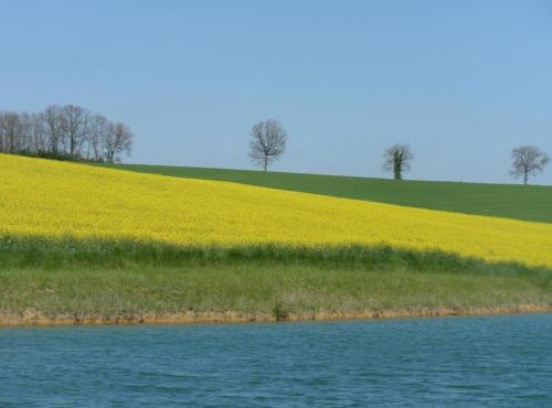 Gîte gascon Le Bataillé