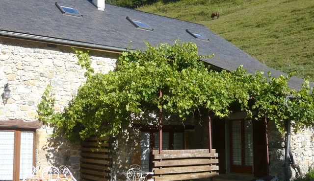 Gîte Jaune - House on 5 ha property, swimming pool, sauna, animals,