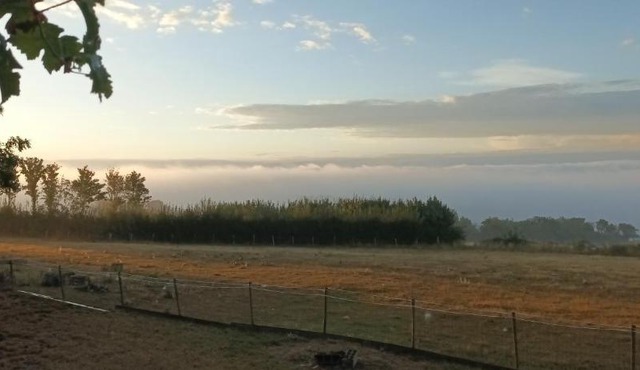 Gîte l ambre du fort bois