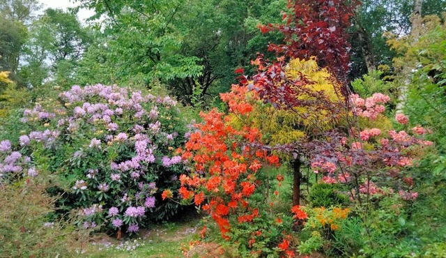 Gîte l'Ermitage, 4 people in BROCELIANDE