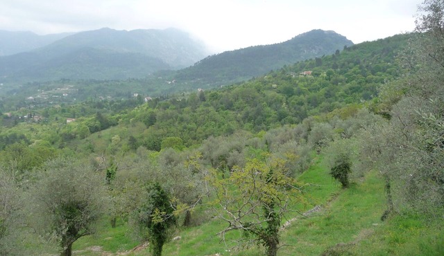 Gîte l'Oliveraie n ° 2