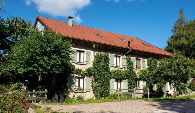 Gîte la Retorderie: 11 people + 2 babies, sauna, catamaran net, cabin, fireplace