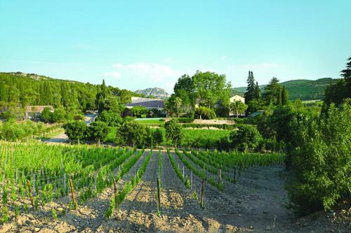 Gîte La Maison des Vendangeurs