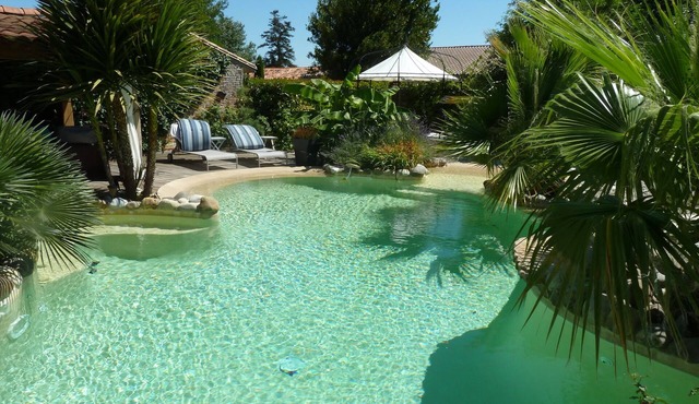 Gîte la plume 20 m from TOULOUSE