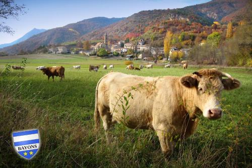 GÎTE LA TANIÈRE DES ALPES
