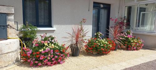 Gîte les Hortensias