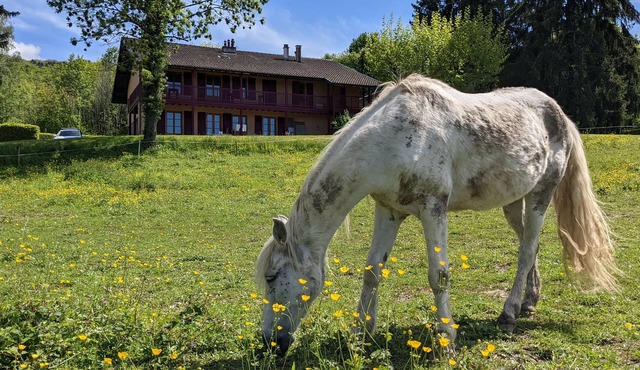 Gîte Les Vernes (11-13 pers.)