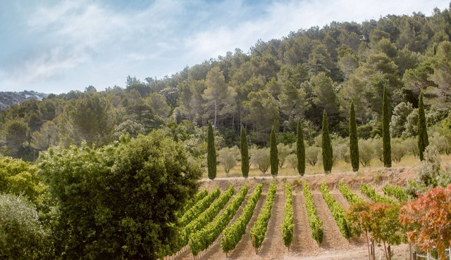 Gîte Maison des Vendangeurs