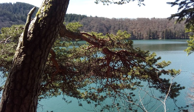 Gîte, Montain Spirit, terrace & private access - GR30