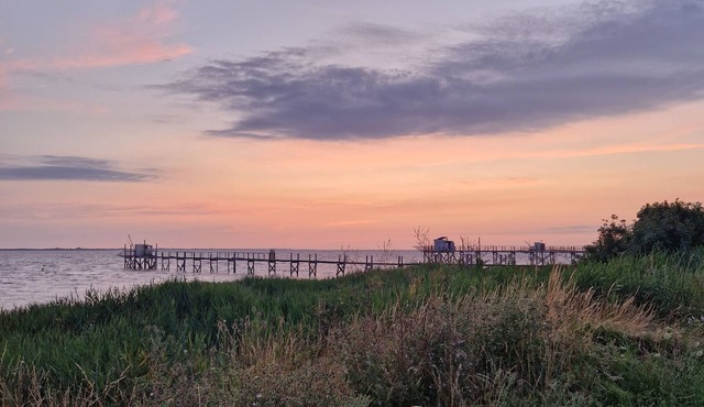 Gîte Padura - Braud ET Saint Louis