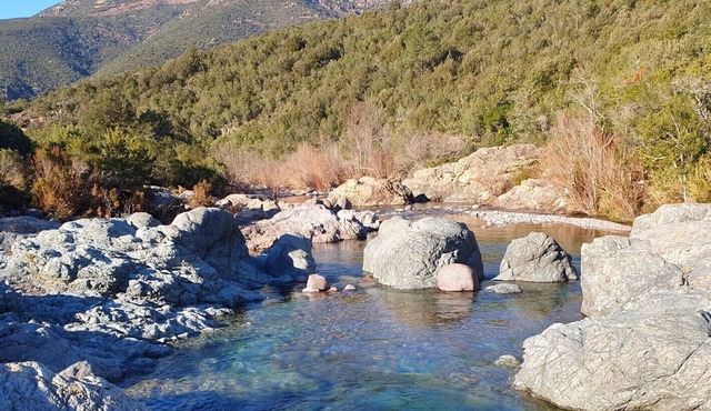 Gîte Rez-de-chaussée - 2 adultes - 1 enfant