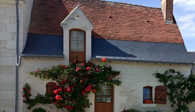 Gîte Roses De Loire with Private Terrace and Wi-Fi in Bréhémont