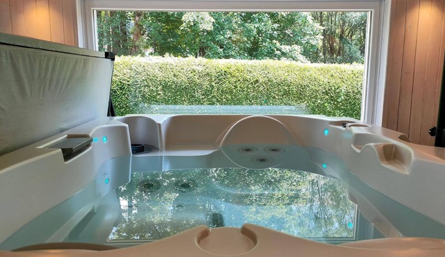 Gîte Saine Montagne du Jura with Spa Sauna river