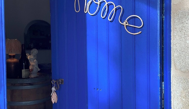 Gîte Thérèse in a restored Mas Provençal in the heart of the vineyards