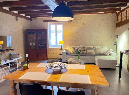 Gîte tout confort avec grand jardin, cheminée, clim et WIFI, proche châteaux de la Loire et ZooParc de Beauval - FR-1-491-400