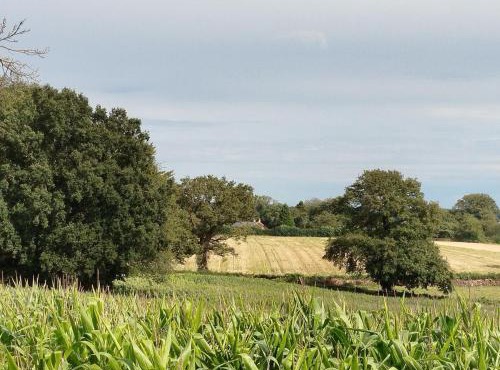 Gîte Traitsanes En Berry Centre Val de Loire