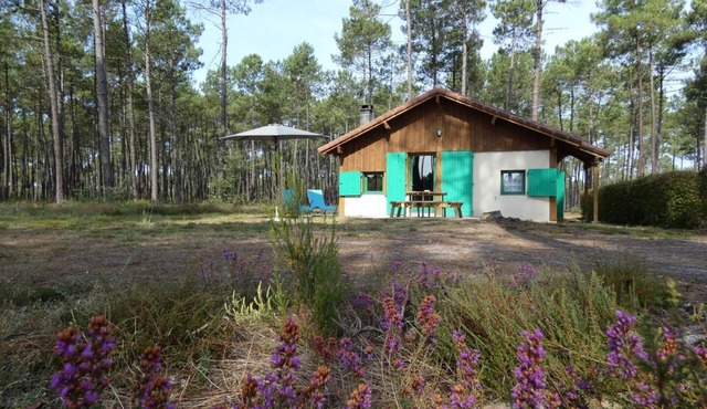 Gîte Vert - Luxey - Gîte