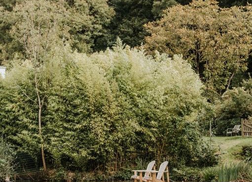Gîtes du Bulz, en pleine forêt proche de la mer