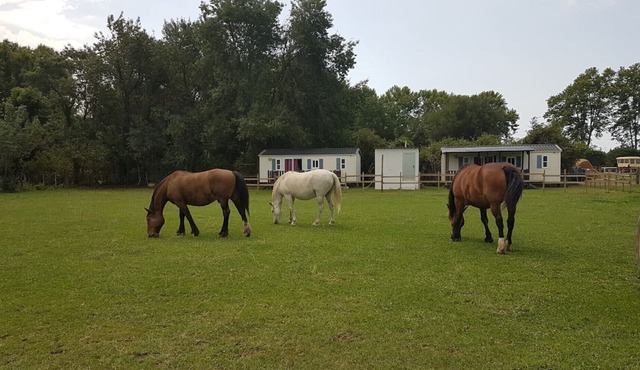 Gîtes le Petit Paradis