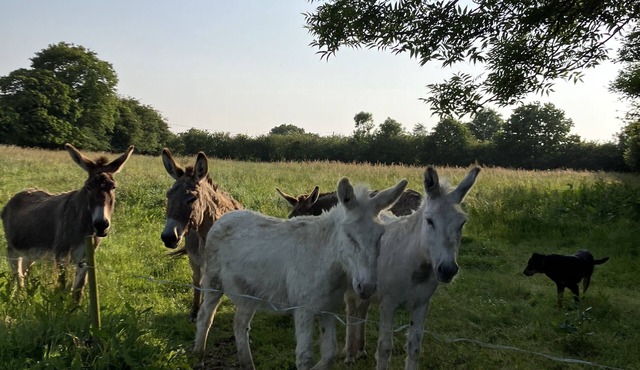 Gîte à la Campagne