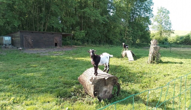 Gîte à la Campagne Avec Étang de Pêche 2/4 Personnes