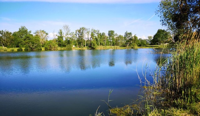 Gîte à la campagne - Etat Nature